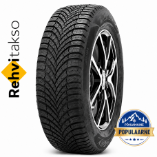 SENTURY Winterdragon 205/55 R16 lamellrehv