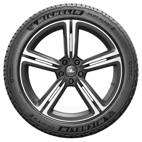 MICHELIN PILOT ALPIN 5