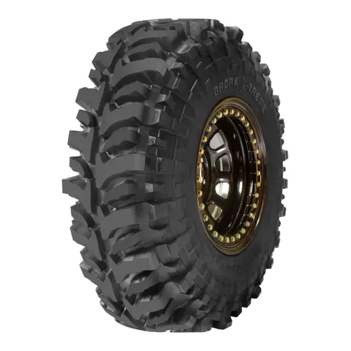 ACCELERA BADAK X-TREME