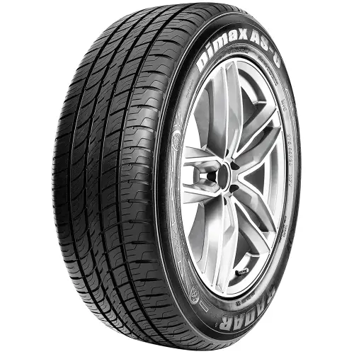 RADAR DIMAX ALL SEASON