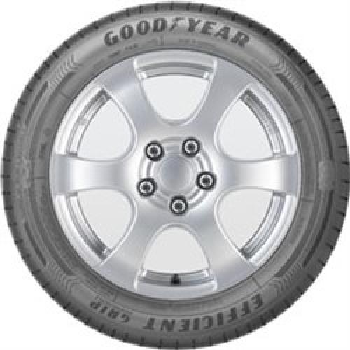 Goodyear EFFICIENTGRIP PERFORMANCE